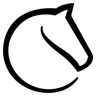 Lichess icon